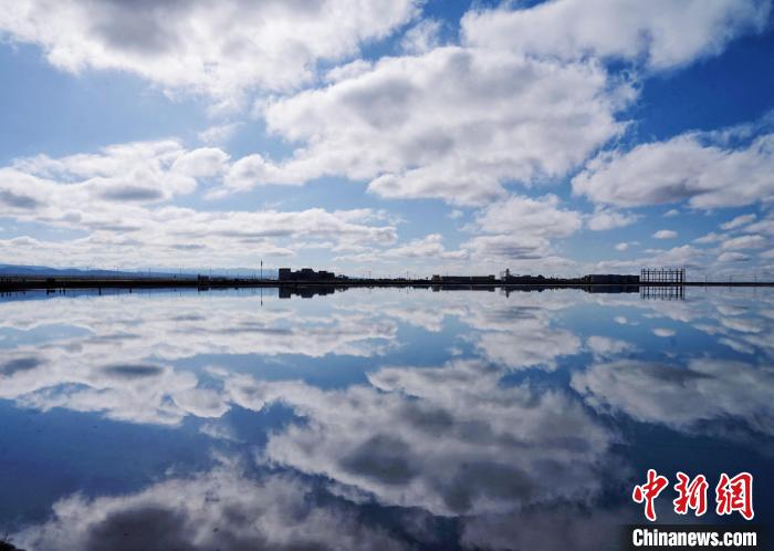 青海組織專家開展網(wǎng)上評審 引導產(chǎn)業(yè)創(chuàng)新發(fā)展